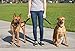 Leash Boss Short Dog Leash with Padded Handle - 12, 18, and 24 Inch Leads for Large Dogs - 1 Inch Nylon (12 in, Black/Red/Gray)