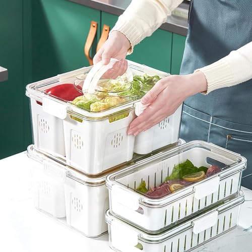 Image of Vasukie Divided Fridge Storage Boxes With 4 Serving Veggie Tray with Lid and Handle, Fridge Organizer with Removable 4 Compartment, Fridge Storage Containers (4 Large Compartment-1PC)
