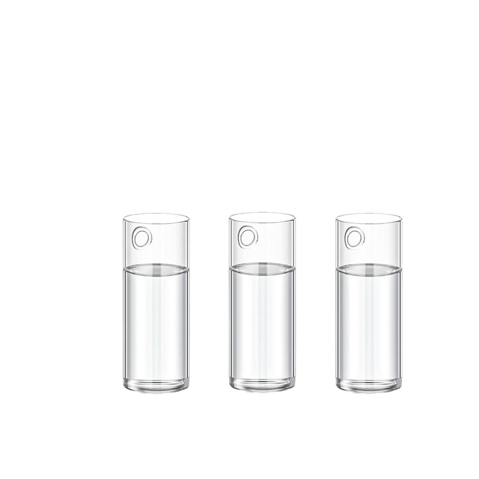 Wall Mounted Vase Glass Wall Hanging Plant Terrarium Planter