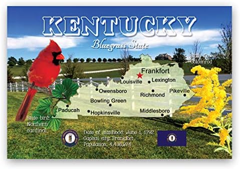 KENTUCKY MAP postcard set of 20 identical postcards. KY state map post cards. Made in USA. image 3