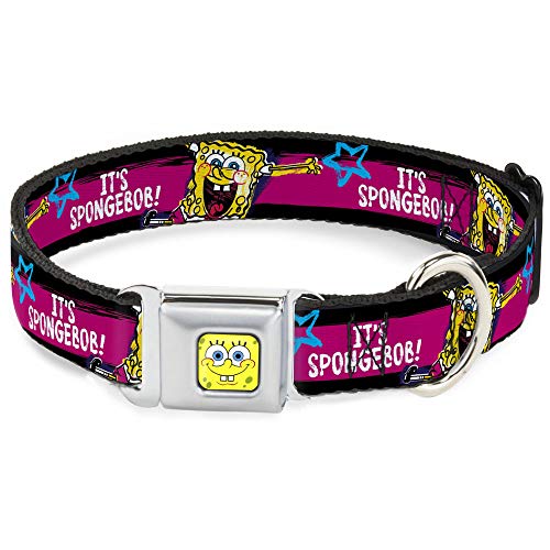 Collier chien Bob l'éponge anti-ouverture boucle métal