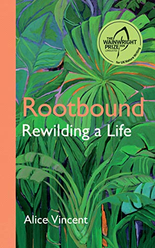 Rootbound view 2