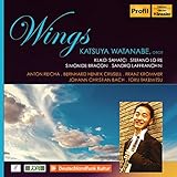  Wings