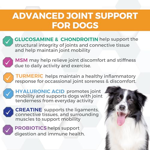 Image of Progility Hip & Joint Supplement for Dogs - Daily Mobility & Joint Support with Glucosamine, Chondroitin & MSM, Soft Chews (90 Count)