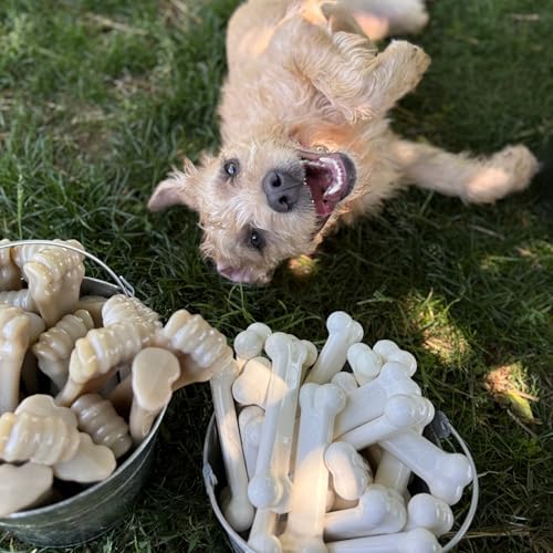 Image of Nylabone Power Chew Original Bone Dog Chew Toy, Chicken Flavor, Medium