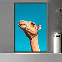 Framed Canvas Wall Art Camel Animals Camels Expressive Farmhouse/Country Living Room Multicolor Photography - 16x24 inches