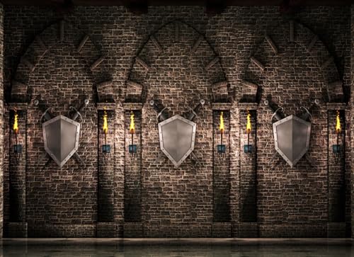 SADFA Gothic Castle Backdrop 10x8ft Ancient Medieval Brick Stone Wall Arches Iron Gates Swords Shield Torches Prison Dungeon Evil Background Halloween Medieval Party Decorations Photo Booth Props