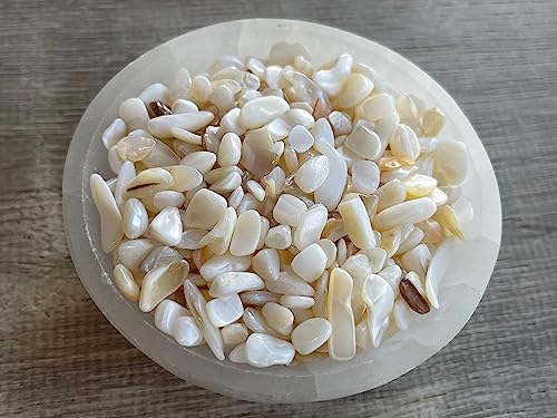 Image of GAF TREASURES 2 oz Lot Natural Semi Tumbled Gemstone Chips, Crushed Mini Crystals, Undrilled Crystal Chips (Mother of Pearl)