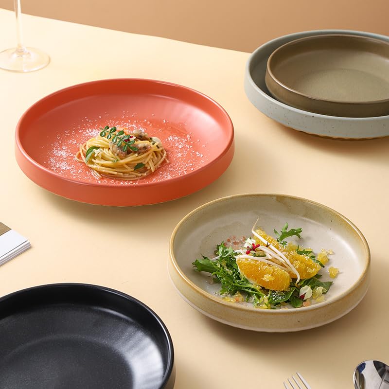 Japanischer Teller aus Steingut, 25,9 cm, für Frühstück, Nudelsalat, elegantes Design, perfekt für Zuhause oder Restaurant, schwarzes Finish