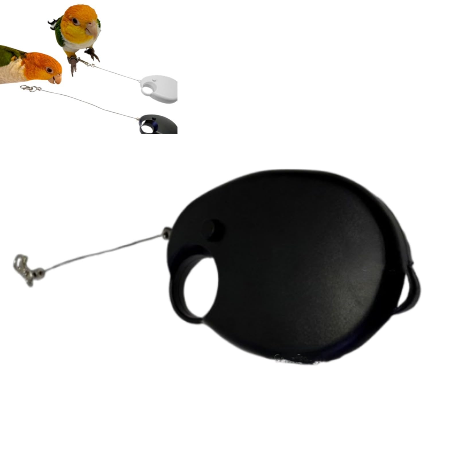 Laisse Rétractable pour Oiseaux, 6mCorde Volante pour Perroquets, Fil d'acier Anti-Morsure,Harnais réglable pour Perroquet,Harnais pour Perroquet Laisse,pour Perruches, Calopsittes, Inséparables, Pins