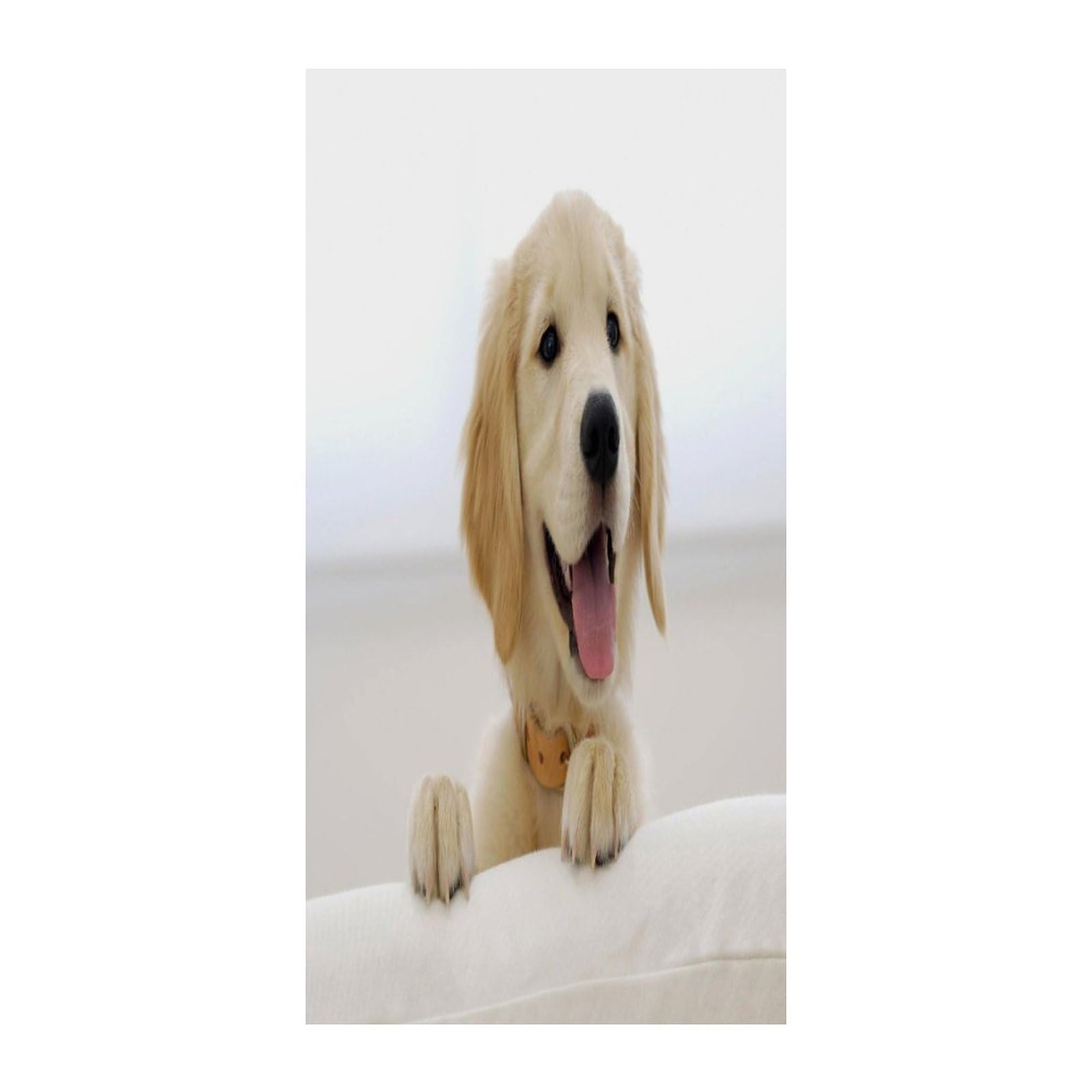 Cortina divisora de privacidad Golden Retriever aislante opaca de 70 cm