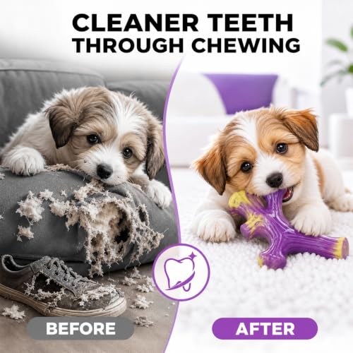 Image of Frienhund 3-Pack Puppy chew Toys: Puppy chew Toys for Teething