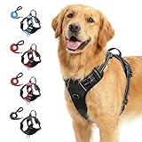 Fellstern Anti-Zieh-Geschirr, Anti-Pull Dog Harness with Chest Clip Front and Back Clip, Anti-Zieh Hundegeschirr mit Step-in Design, Atmungsaktiv & Gepolstert, Für Hunde jeder Größe (Schwarz, XL)