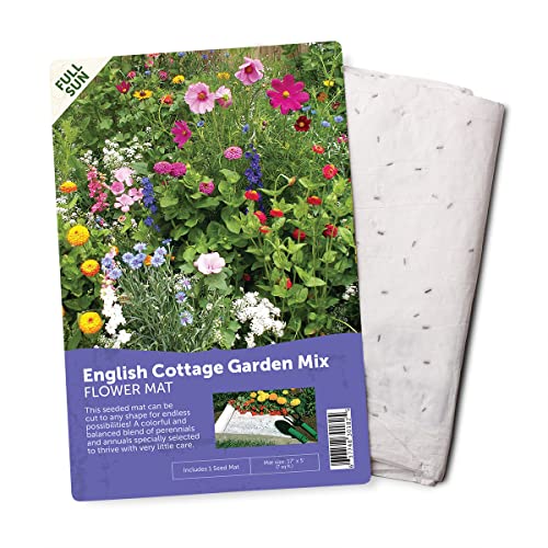 BloomingBulb Tapis de semences – Facile à Planter et à cultiver des graines de Jardin – Crée...