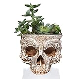 Größe: 16 * 12 * 10 DSENIW QIDOFAN Crafts Harz Pflanze Gras Blumentopf Kreativer Innen Schädel Art Topf Fertigkeit-Dekoration Stilvoll und schön