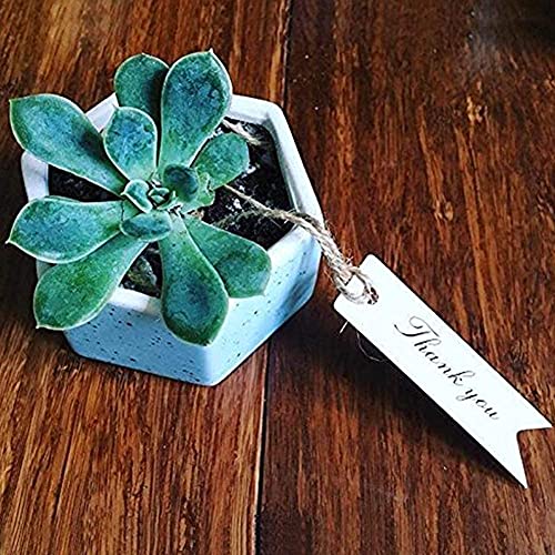 Thank You Tags, G2Plus 100 Pcs 'Thank You' Printed Christmas Tags, Paper Hang Tags For Wedding Favors Paper Gift Tags #TOP3