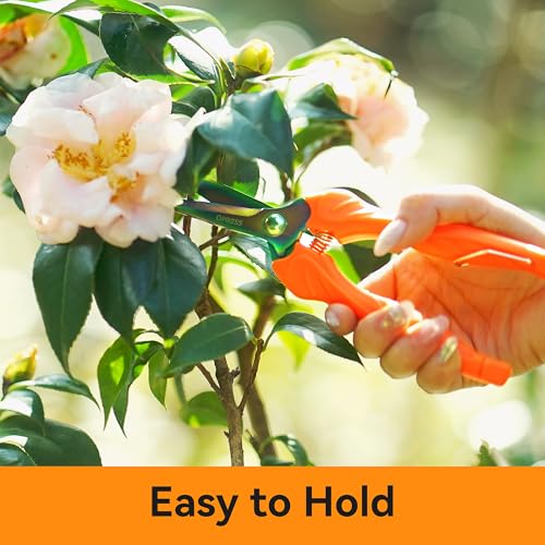 QMVESS Stainless Steel Garden Shears, Precision Cutting Pruning Shears, Lightweight Ergonomic Garden Clippers with Titanium Coating Straight Blade 3 Pcs Gardening Shears, Pruning Shears for Gardening - Image 7