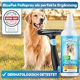 BluePet Fellentwirrer Entfilzer für Langhaar Hunde & Katzen I Hochwertiger Hundestriegel mit zwei Reihen Pins I Löst Knoten, Verfilzungen & Unterwolle I Unterwollrechen Glättet & Entwirrt langes Fell