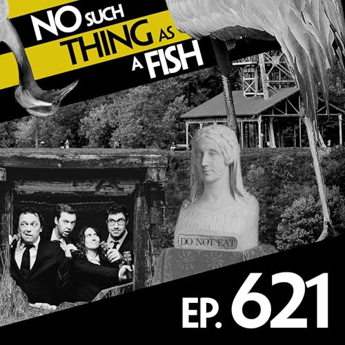 No Such Thing As Space Eggs