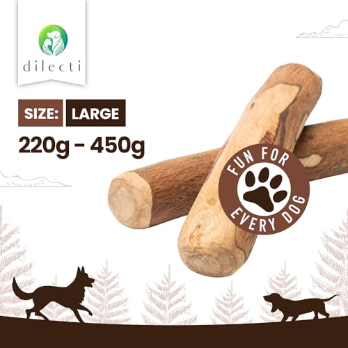 Dilecti Olive Wood Dog Chews, Natural Dense Hardwood Stick, Long-Lasting Dental Care Chew Toys with Antioxidants - Image 2