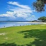 rasensamen schattenrasen - grassamen - ziergras winterhart rasensaat garten exotische...