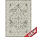 WITSHOCK Living Room Area Rugs 5x7: Washable Rug Boho Soft Non-Slip Low Pile Stain Resistant Foldable Carpet for Bedroom Playroom Dining Room Office Kitchen Farmhouse Home Decor Rug-Brown/Lvory