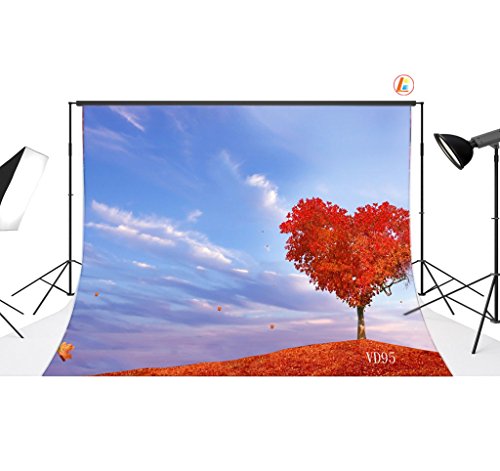 LOVE-BABY Vinile Giorno Tema di San Valentino