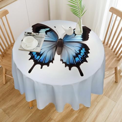 Nappe ronde papillon bleu lavable et résistante en polyester - 4