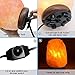 OHLGT Himalayan Salt Lamp Cord Replacement with Dimmer Switch(2-Pack) and E12 Halogen Salt Lamp Bulbs(6-Pack)