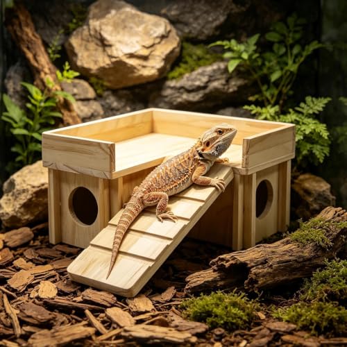 Refugio de madera para reptiles con rampa de escalada y zona de sol 4