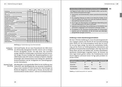 SAP Cloud: Szenarien, Lösungen und Technologie
