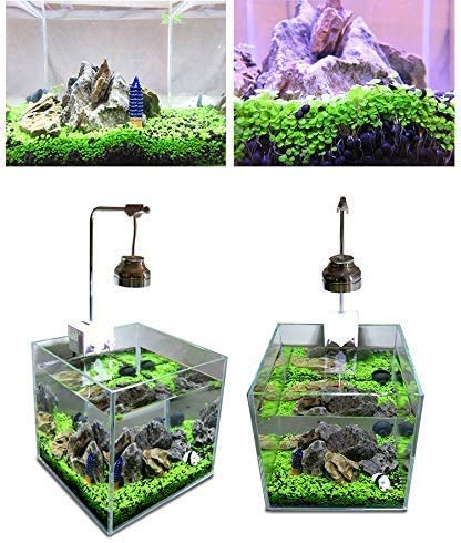 2 Pack Aquarium Small Leaf Grass, Aquarium Water Grass for Fish Tank Decoration Creates Lush Green Carpet Plant