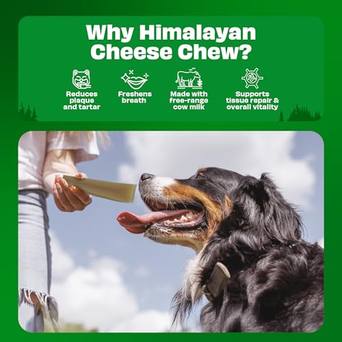 Image of Pawfect Himalayan Yak Cheese Chews for Large Dogs - 100% Natural, Long-Lasting Cheese Bone - Rich in Protein & Calcium - Daily Dental Treat- Plaque Off & Tartar Control- Pouch of 1 (140g /4.94oz)