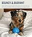 Outward Hound by Planet Dog Squeak Ball Bouncy Fetch Dog Toy, Blue