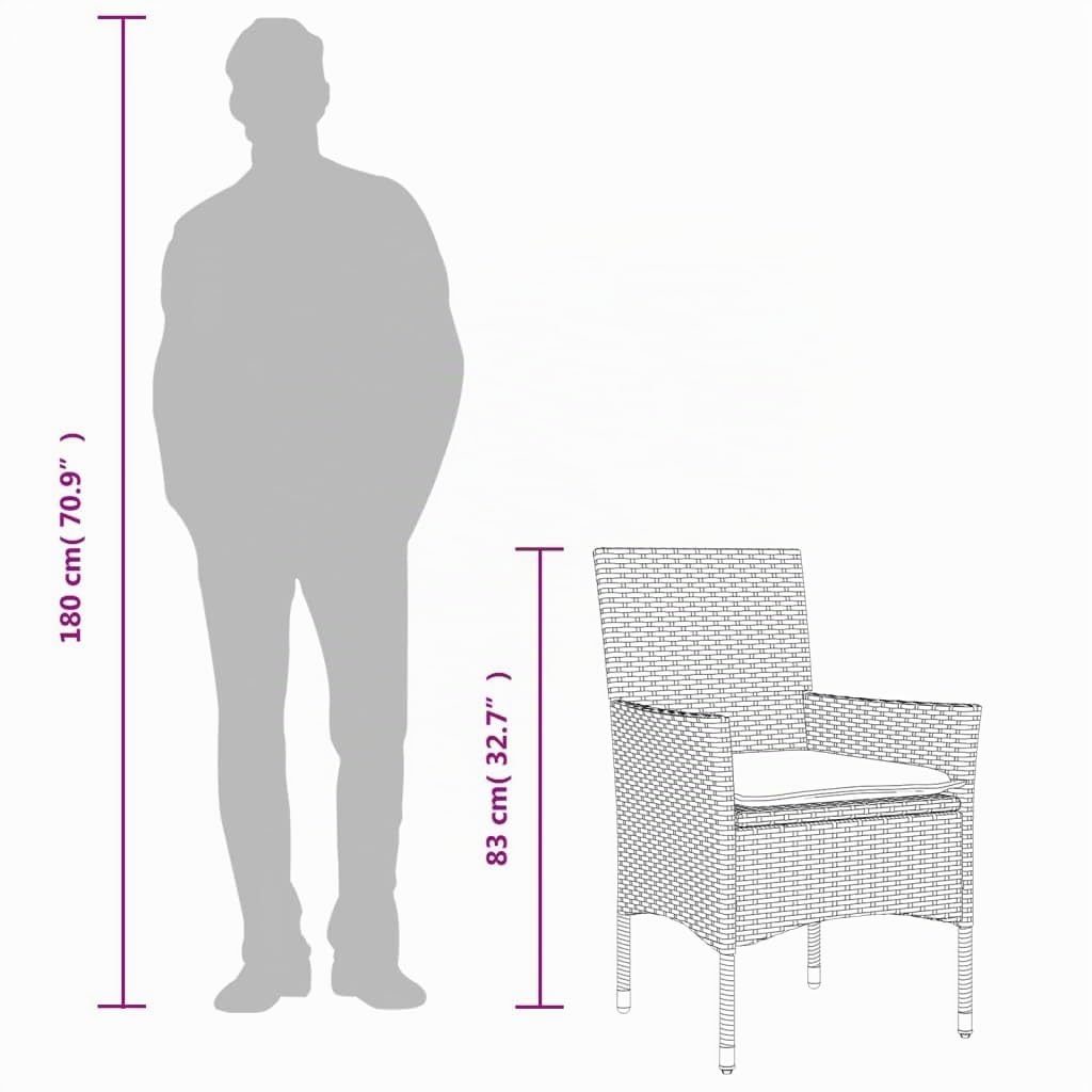 vidaXL Lot de 2 Chaises de Jardin avec Coussins, Sièges avec Accoudoirs, Fauteuils avec Dossier, Meubles de Terrasse, Moderne, Noir Résine Tressée