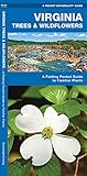 Virginia Trees & Wildflowers: A Folding Pocket Guide to Familiar Plants (Wildlife and Nature Identification)
