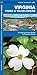 Virginia Trees & Wildflowers: A Folding Pocket Guide to Familiar Plants (Wildlife and Nature Identification)