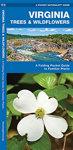 Virginia Trees & Wildflowers: A Folding Pocket Guide to Familiar Plants