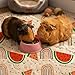 cimiycob Guinea Pig Bedding, 49x24in 2 Pack Washable Guinea Pig Cage Liners, Waterproof Reusable & Anti Slip, Super Absorbent Guinea Pig Pee Pad for Midwest Cage, Small Animal, Rabbit, Bunny, Beige