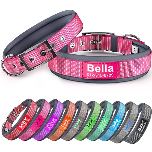 Personalized Dog Collar with Name & Number, Ultra-Visible Fully Reflective
