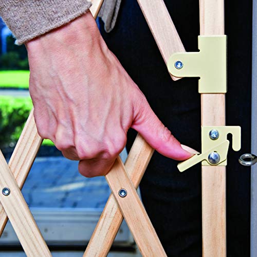 Evenflo Expansion Walk Thru Room Divider Gate (Tan) by Evenflo - Image 7