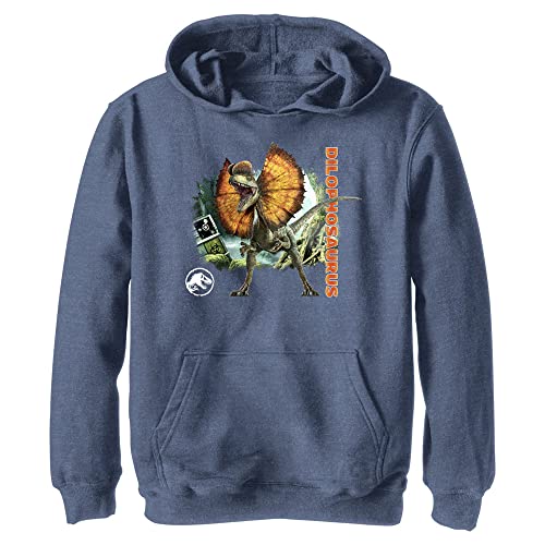 Sweat Dilophosaurus Jurassic World enfant pull hoodie garçon fille