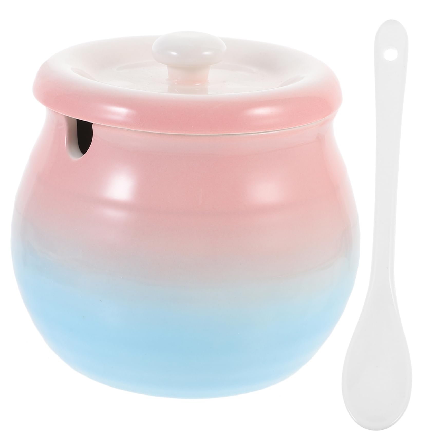 Tarro de cerámica para especias PRETYZOOM con tapa, bote de cocina decorativo para sal y curry