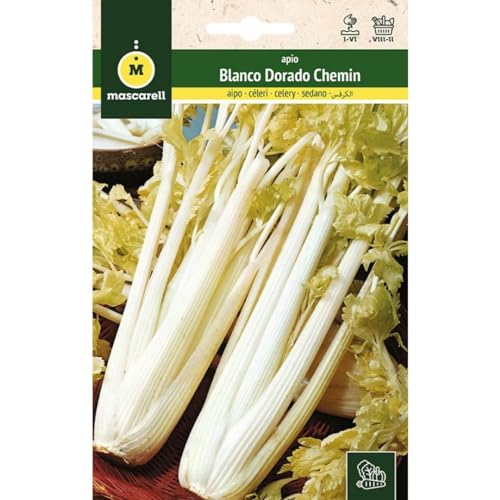 Mascarell Semillas, APIO, Semillas Huerto, APIO BLANCO DORADO CHEMIN 2, Crea tu Propio Huerto Urbano y Cultivo en Casa, Plantas Hortícolas, 3 Gramos