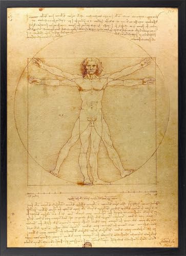 Fine Artic Tableau L'homme de Vitruve de Léonard de Vinci – Poster d'Anatomie et d'Art Renaissance avec cadre – Tableaux Décoration Science Classique et d'Étude...