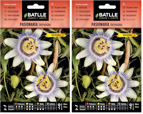 Semillas Batlle - Semillas De Pasionaria Trepadora (Paquete de 2)