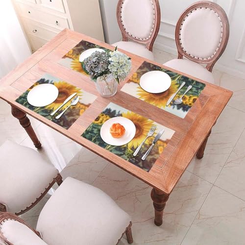 Sets de table en PVC lavables vinyle tissé résistant chaleur lot de 6