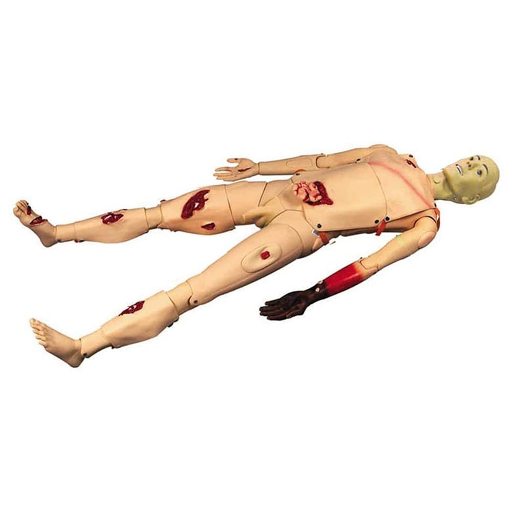Mannequin De Simulation Avancé pour La Formation Aux Premiers Secours, Mannequin Pédagogique Complet pour Les Soins des Plaies, Outil D'enseignement Médical et Éducatif