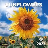 2026 2027 Wall Calendar,Calendar 2027, November 2026 - December 2027, Wall Calendar Sunflowers, 12' x 24' Opened,Full Page Months Thick & Sturdy Paper for Gift Perfect Calendar Organizing & Planning