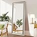 Naomi Home Framed Floor Mirror Champagne/65 x 31"